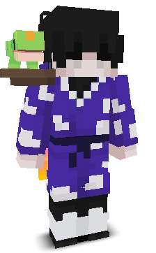 User's Minecraft appearance