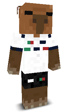 User's Minecraft appearance