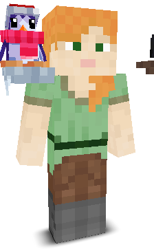 User's Minecraft appearance
