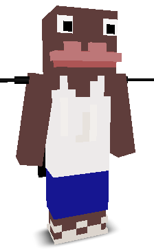 User's Minecraft appearance