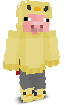 User's Minecraft appearance