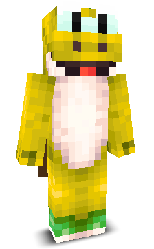 User's Minecraft appearance