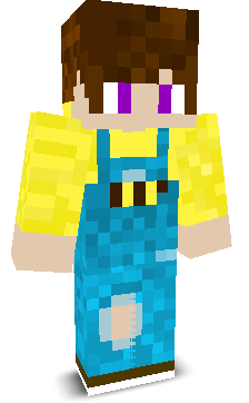 User's Minecraft appearance