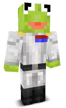User's Minecraft appearance
