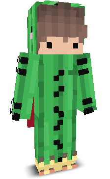 User's Minecraft appearance