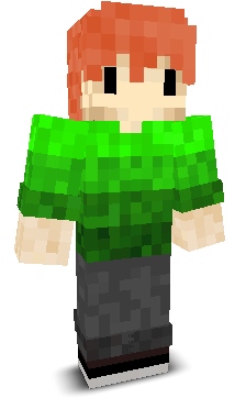 User's Minecraft appearance