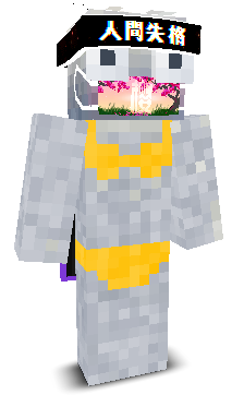 User's Minecraft appearance