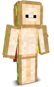 User's Minecraft appearance
