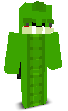 User's Minecraft appearance