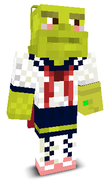 User's Minecraft appearance