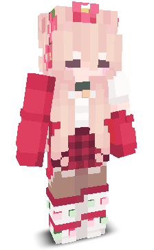 User's Minecraft appearance