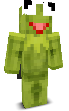 User's Minecraft appearance