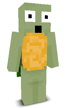 User's Minecraft appearance