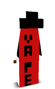 User's Minecraft appearance