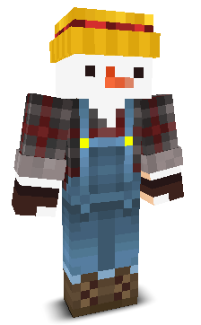 User's Minecraft appearance