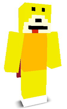 User's Minecraft appearance