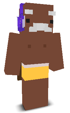 User's Minecraft appearance