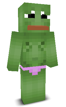 User's Minecraft appearance
