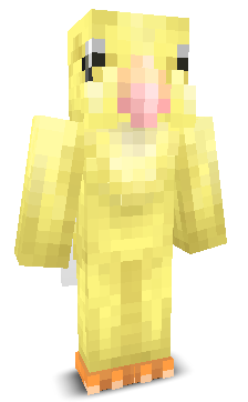 User's Minecraft appearance