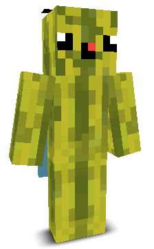 User's Minecraft appearance