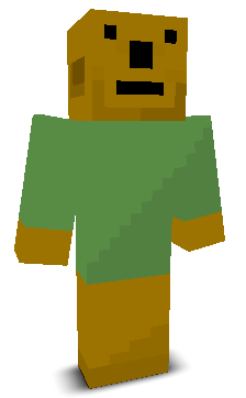 User's Minecraft appearance
