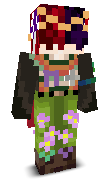 User's Minecraft appearance