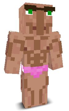 User's Minecraft appearance