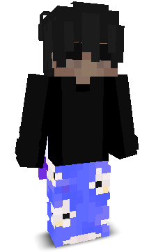User's Minecraft appearance