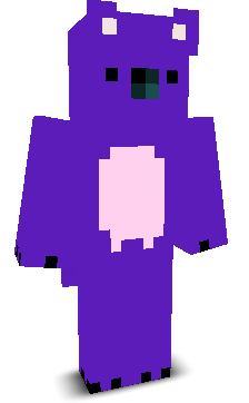 User's Minecraft appearance