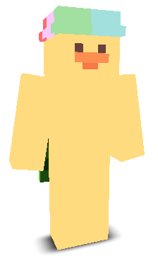 User's Minecraft appearance