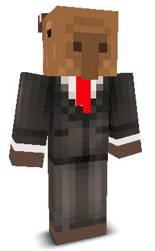 User's Minecraft appearance