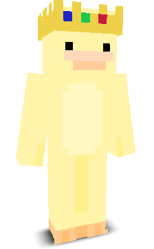 User's Minecraft appearance