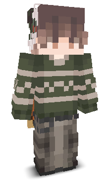 User's Minecraft appearance