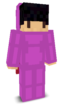 User's Minecraft appearance