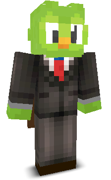 User's Minecraft appearance
