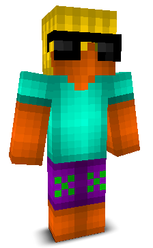 User's Minecraft appearance