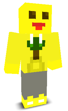 User's Minecraft appearance