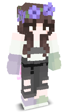 User's Minecraft appearance