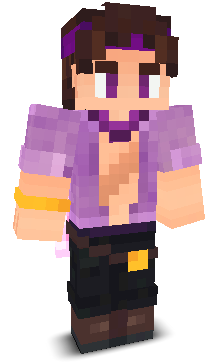 User's Minecraft appearance
