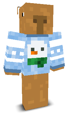 User's Minecraft appearance