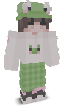 User's Minecraft appearance