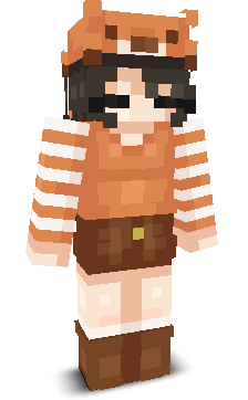 User's Minecraft appearance