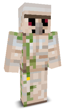 User's Minecraft appearance