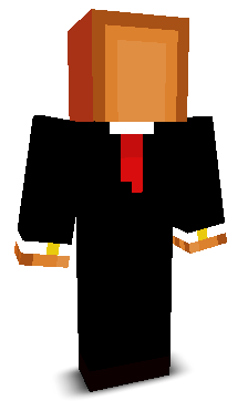 User's Minecraft appearance