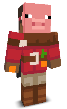 User's Minecraft appearance