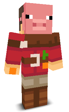 User's Minecraft appearance