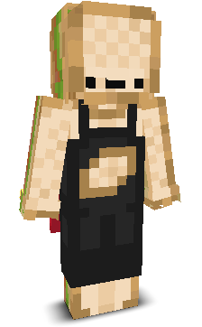 User's Minecraft appearance