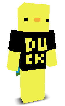 User's Minecraft appearance