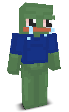 User's Minecraft appearance