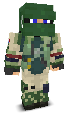 User's Minecraft appearance